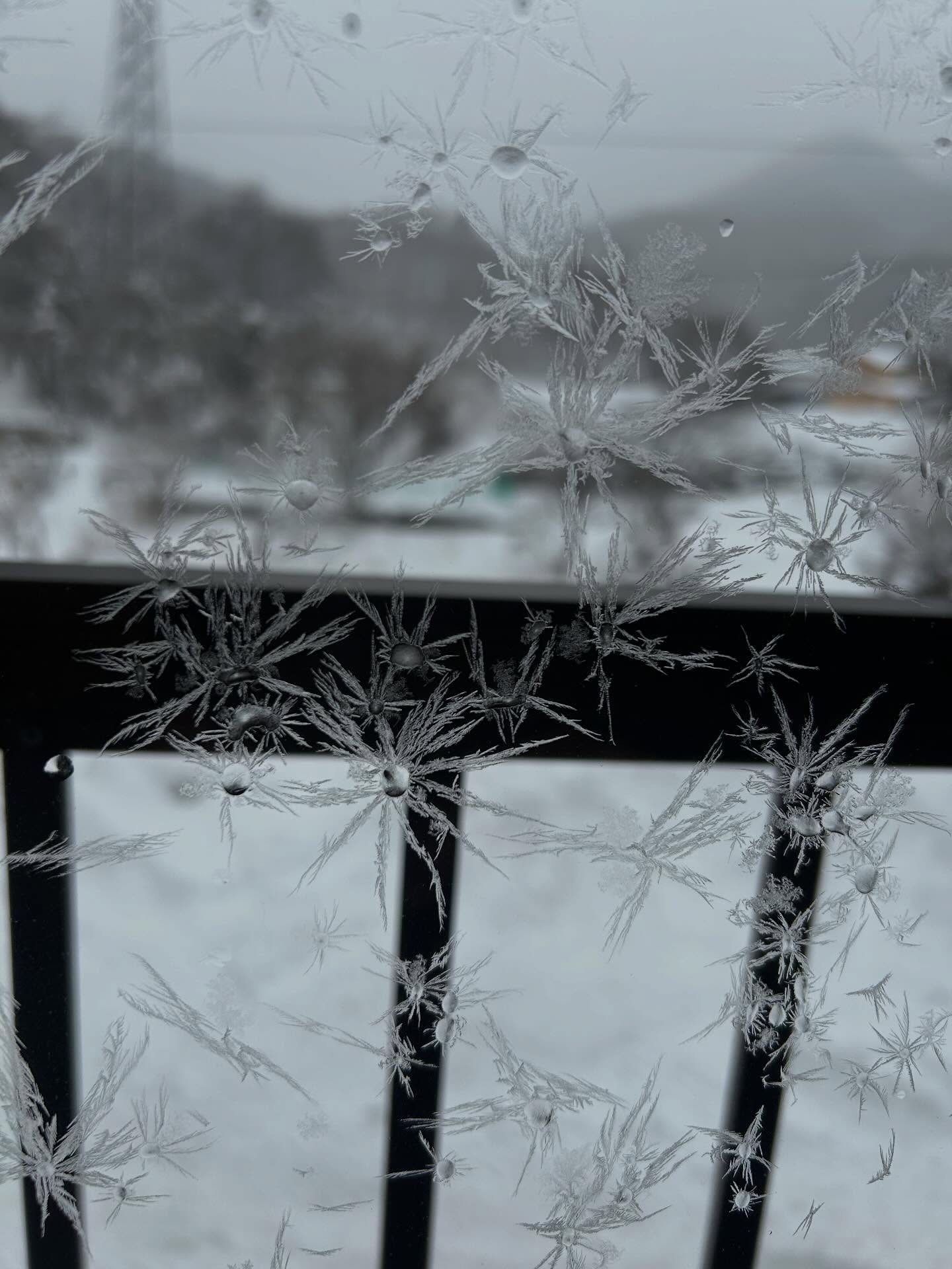 氷の結晶️窓ガラスにできる氷の結晶は、「窓霜(まどしも)」や「氷華(ひょうか)」と呼ばれるみたいですね。氷点下(特に-5℃〜-6℃以下)の朝に、室内または外気の水蒸気が冷却され、微細なチリを芯として直接凍りつく「凝華(ぎょうか)」という現象で生まれるそうです!https://oze-fujiya.com/wordpress/work-blog/2465/